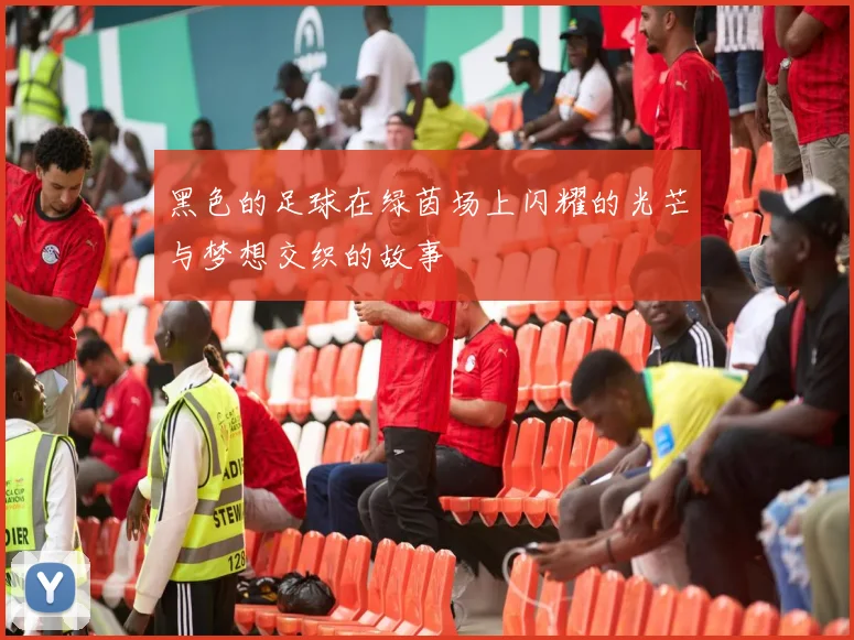 黑色的足球在绿茵场上闪耀的光芒与梦想交织的故事