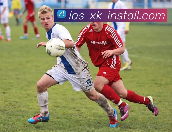 XINGKONG SPORTS平台生态图